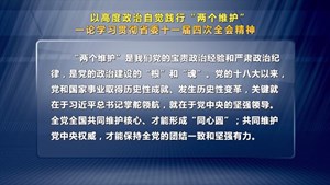 以高度政治自觉践行两个维护