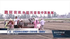 广汉：水稻育秧全面铺开 打好丰收“提前仗”