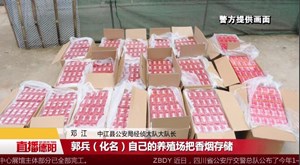 中江警方打掉一假烟销售团伙  查获名假烟1000余条