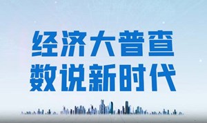 德阳市第五次全国经济普查宣传标语