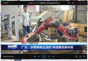 广汉：水稻育秧正当时 科技赋农保丰收