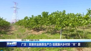 广汉：发展农业新质生产力 绘就振兴乡村好“丰”景
