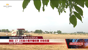 培育新质生产力 加快农业现代化：旌阳、广汉