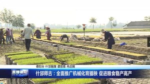 什邡师古：全面推广机械化育插秧 促进粮食稳产高产