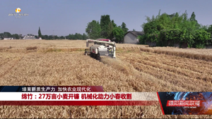 绵竹：27万亩小麦开镰 机械化助力小春收割