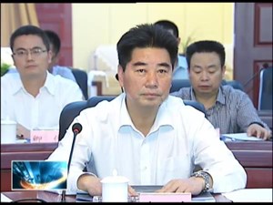 市领导专题听取九为蓝谷项目方案汇报