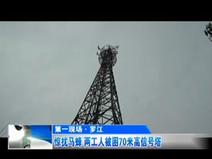 惊扰马蜂 两工人被困70米高信号塔