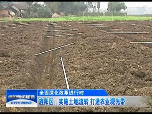 旌阳区：实施土地流转 打造农业观光带