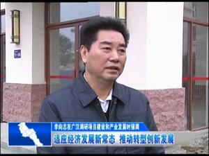 适应经济发展新常态  推动转型创新发展