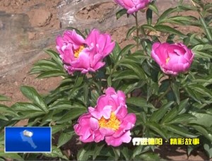 民生基础设施工程：打牢基础 助力发展