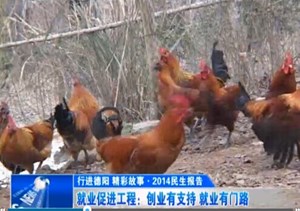 就业促进工程：创业有支持 就业有门路