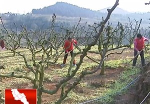 生态环境再变样  文化体育新气象