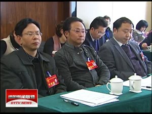 刘宏葆参加什邡代表团审议讨论