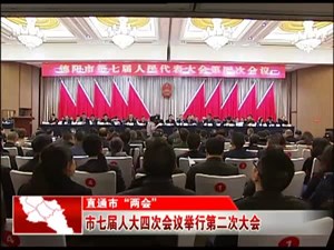 市七届人大四次会议举行第二次大会