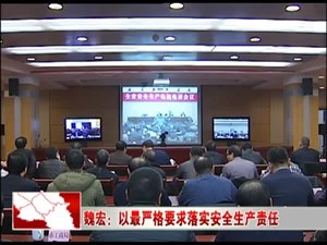 魏宏：以最严格要求落实安全生产责任