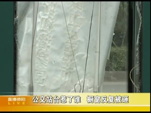 公交站台惹了谁  橱窗反复被砸