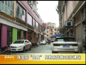 珠宝店“内鬼”  网购假货换2克拉裸钻
