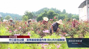 中江县仓山镇：发挥基层堡垒作用 同心共力促脱贫