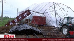 广汉：强降雨致多乡镇受灾 