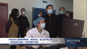 何礼赴中江调研疫情防控、脱贫攻坚、复工复产等工作