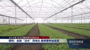 德阳：金融“活水”到地头 春耕春种加速度