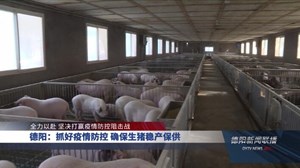 德阳：抓好疫情防控 确保生猪稳产保供