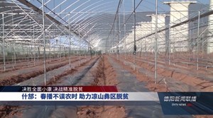 什邡：春播不误农时 助力凉山彝区脱贫