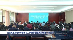 刘会英主持召开市委农村工作领导小组2020年第一次会议