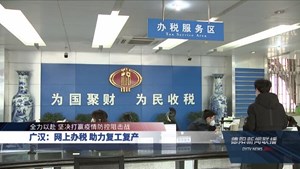 广汉：网上办税  助力复工复产