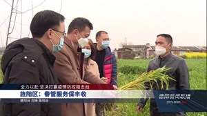 旌阳：春管服务保丰收