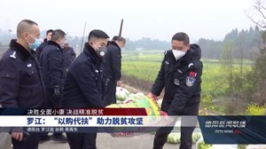 罗江：“以购代扶”助力脱贫攻坚