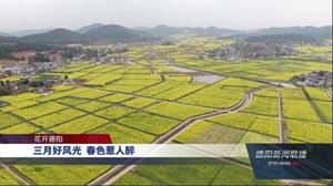 三月好风光  春色惹人醉
