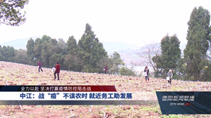 中江：战“疫”不误农时 就近务工助发展