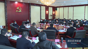 全市项目工作会议召开　