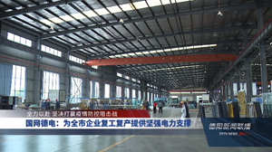 国网德电：为全市企业复工复产提供坚强电力支撑