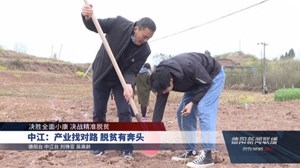 中江：产业找对路 脱贫有奔头
