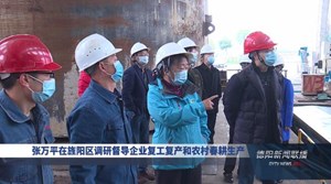 张万平在旌阳区调研督导企业复工复产和农村春耕生产
