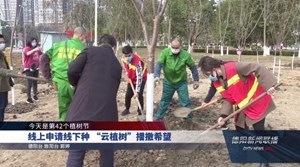 线上申请线下种 “云植树”播撒希望