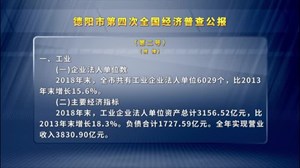 德阳市第四次全国经济普查公报（第二号）