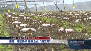 德阳：跨区协调 缓解企业“用工荒”