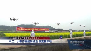 中江：小春作物统防统治 保夏粮丰收