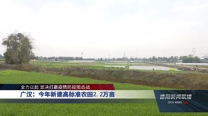 广汉：今年新建高标准农田2.2万亩