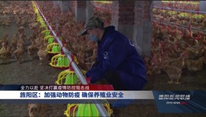 旌阳区：加强动物防疫 确保养殖业安全