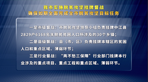 我市实施脱贫攻坚挂牌督战　确保如期全面完成全市脱贫攻坚目标任务