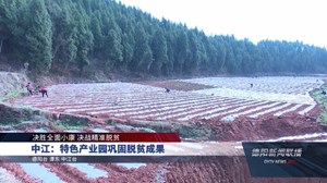 中江：特色产业园巩固脱贫成果