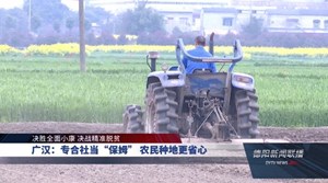 广汉：专合社当“保姆” 农民种地更省心