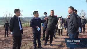 我市开展2020年春季义务植树活动  靳磊 何礼 卢也 张万平 刘会英等参加