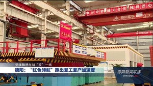 德阳：“红色领航”跑出复工复产加速度