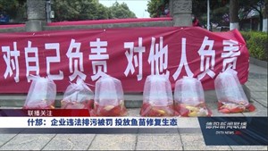 什邡：企业违法排污被罚 投放鱼苗修复生态