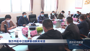 张万平赴中江挂牌督战脱贫攻坚